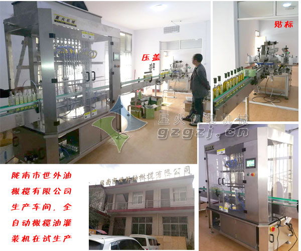隴南世外橄欖油灌裝機(jī)生產(chǎn)線(xiàn)車(chē)間