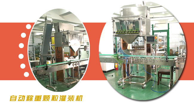 自動稱重顆粒灌裝機