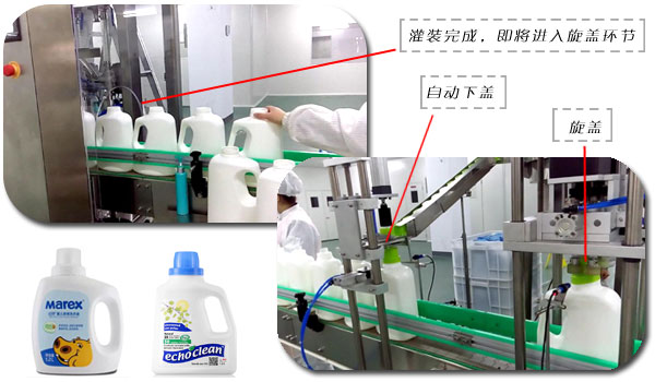 洗衣液灌裝線旋蓋環(huán)節(jié)和樣品圖